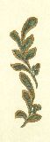 Image075b.jpg (2761 byte)