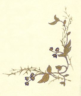 Image087b.jpg (12354 byte)