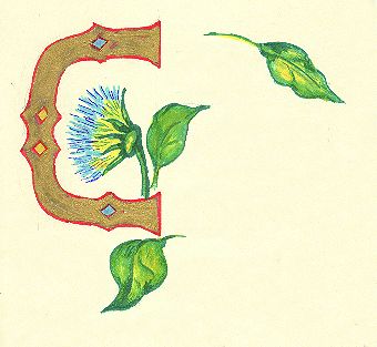 image006.jpg (19681 byte)