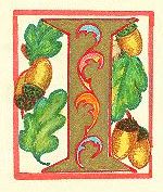 image007.jpg (12228 byte)