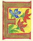 image008.jpg (10079 byte)