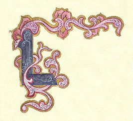 image020.jpg (16342 byte)