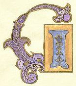 image027.jpg (10631 byte)