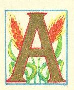 image049.jpg (10925 byte)