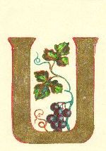 image051.jpg (9648 byte)
