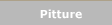 Pitture