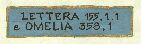 LETTERA 155, 1.1 E OMELIA 358, 1